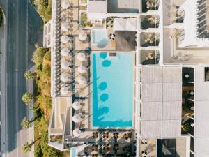 Piscina di Calypso Palace o nelle vicinanze