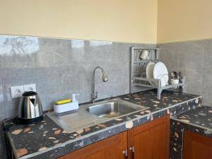 a kitchen with a sink and a counter top at Villa Lestari in Ubud +11 photos