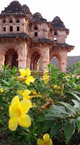 ハンピにあるAshwini home stay hampiの黄色い花の建物 +17枚の写真