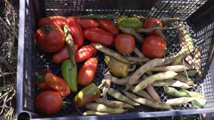 Gallery image of Edgar's House in Bnunis