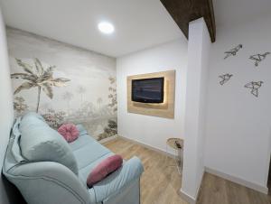 a living room with a couch and a tv on a wall at Ciudad Rodrigo Centro VuT in Ciudad-Rodrigo