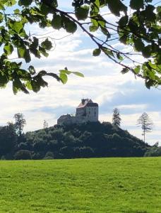 a castle on top of a hill in a field at Am Kohlenberg in Waldburg