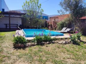 una piscina en un patio con plantas en Eco House, en María Juana