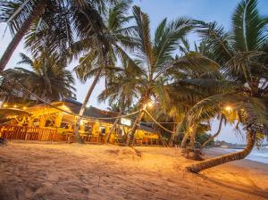 a resort with palm trees on the beach at night at Frangipani Beach Villa in Tangalle