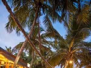 Фотография из галереи Frangipani Beach Villa в Тангалле