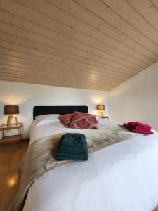 a bedroom with a large white bed with wooden ceilings at La Villa Joly - Avenches in Avenches