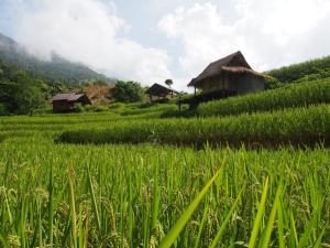 Foto dalla galleria di KowitFarmstay a Ban Mae Pan Noi