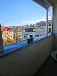 a balcony with two pots on a window sill at Apartman Slađa in Novi Sad