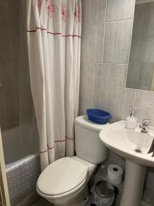 une salle de bain avec toilettes, lavabo et rideau de douche dans l'établissement The best view to the Pacific Ocean, à Viña del Mar 64 autres photos