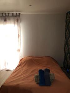 Logement entier entrée autonome ch,sdd,cs privatives客房内的一张或多张床位