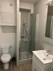 a bathroom with a shower and a toilet and a sink at Gold, 500 m du centre de Valence in Bourg-lès-Valence