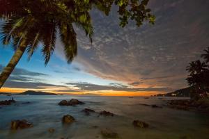 a palm tree and the ocean at sunset at PMS Boutique Patong in Patong Beach