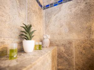 Gallery image of Domaine de Prefaissal in Mézel +55 photos