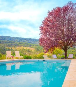 Gallery image of Domaine de Prefaissal in Mézel