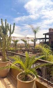 un patio avec un bouquet de plantes, des tables et des parasols dans l'établissement Riad Agdal Royal & Spa, à Marrakech