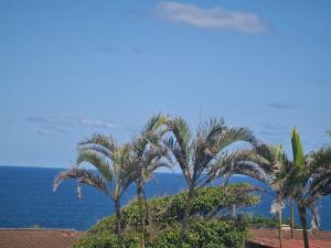 a group of palm trees in front of the ocean at Shakas rock chalet 20 in Ballito