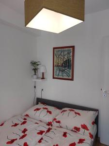una camera da letto con un letto con fiori rossi di Gizella apartman a Balatonfenyves