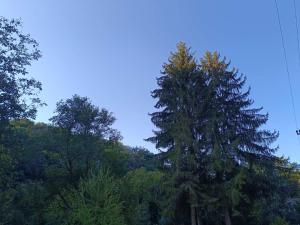 Paesaggio naturale nelle vicinanze della casa vacanze