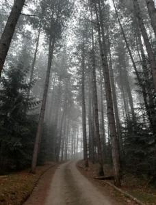 Paesaggio naturale nelle vicinanze della casa vacanze