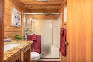 a bathroom with a toilet and a shower and a sink at The Lions Den in Big Bear City
