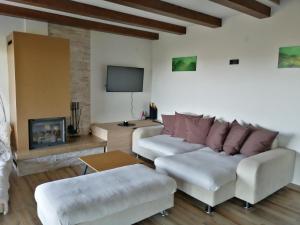 a living room with a couch and a tv at HillTop House in Štrigova
