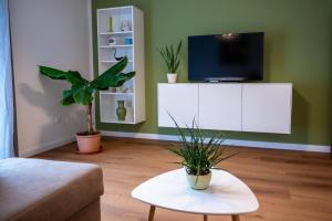 TV a/nebo společenská místnost v ubytování Ferienwohnung Miriam