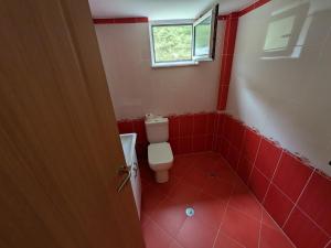 ティラナにあるDamian And Gerardの赤いタイルのバスルーム(トイレ付)