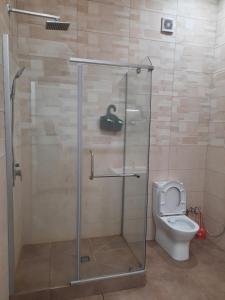 une cabine de douche avec toilettes dans une salle de bain dans l'établissement Appartement Centre ville Antalaha, à Antalaha