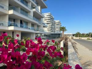 Το κτήριο όπου στεγάζεται  το διαμέρισμα