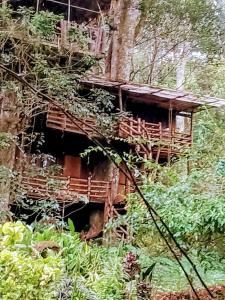 an old building on the side of a mountain at Whitetea Estatehouse Tree House in Munnar