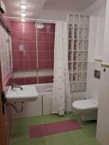 キェルツェにあるApartament Julia 1-4 os parter balkon garaż Westerplatteの洗面台、トイレ、シャワー付きのバスルーム +15枚の写真