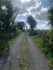 a dirt road with trees on either side at Country Haven eircode H54 AK31 in Galway