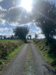 a dirt road with trees and the sun in the sky at Country Haven eircode H54 AK31 in Galway