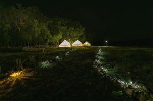 Příroda nedaleko luxury tent