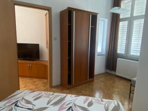 Sjónvarps- og/eða afþreyingartæki á Apartma ROGATEC 2