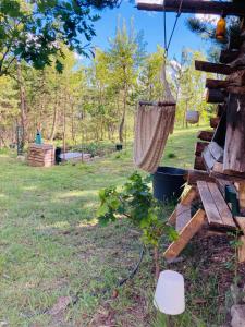 Κήπος έξω από το Chalet Forest