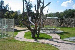 a tree in the middle of a park at Casa en fraccionamiento con seguridad y 2 casas club con alberca se Factura in Santa Gertrudis