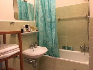 Un baño con lavabo y cortina de ducha. en Stylish Apartment in the Heart of Hamburg, en Hamburgo 50 fotos más