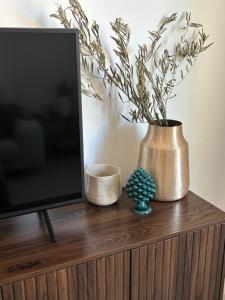 TV a/nebo společenská místnost v ubytování Cremona Suite