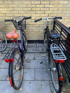 Fotografie z fotogalerie ubytování Tiny house hidden in the backyard v destinaci Höllviken