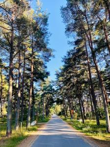 Fotografie z fotogalerie ubytování Tiny house hidden in the backyard v destinaci Höllviken