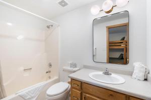 a bathroom with a sink and a toilet and a mirror at Secluded-Pvt Hot Tub-Free Daily Tickets-Walk to Table Rock Lake in Lampe +37 photos