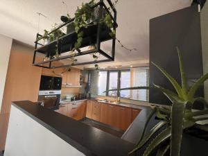 a kitchen with a black counter top and a plant at Willemsbrug Vista in Schiedam