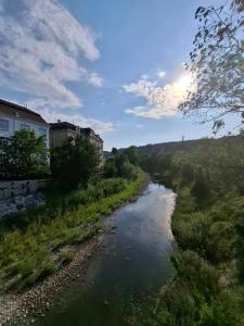 a river with buildings on the side of it at Adelin Vienna in Vienna