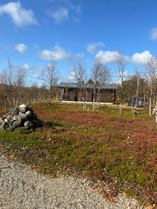 un mucchio di rocce in un campo con un edificio di Kaamasmukka 77 a Koikkiniva