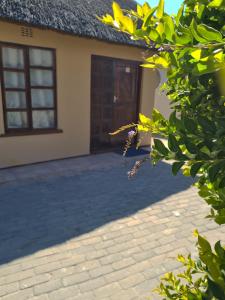 Budova, kde se bed and breakfast nachází