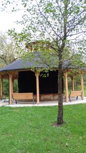 Vonkajšia záhrada v ubytovaní Apartament Eugenia + 5 fotografií