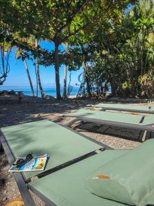 un gruppo di tavoli da picnic sulla spiaggia di Ti Kay Paradi T3 - Les pieds dans l'eau a Saint-Pierre