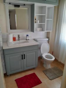 a bathroom with a toilet and a sink and a mirror at Mypropertymychoise Nyayo estate in Nambale