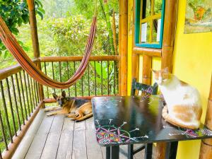 un gato y un perro sentados en una mesa en un porche en Cabañas Los Gulungos Lodge, en Jardín